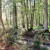 Christelijk vakantiepark Belgische Ardennen type Hyacint 13