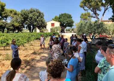 christelijk vakantiepark Provence wijnboer 01